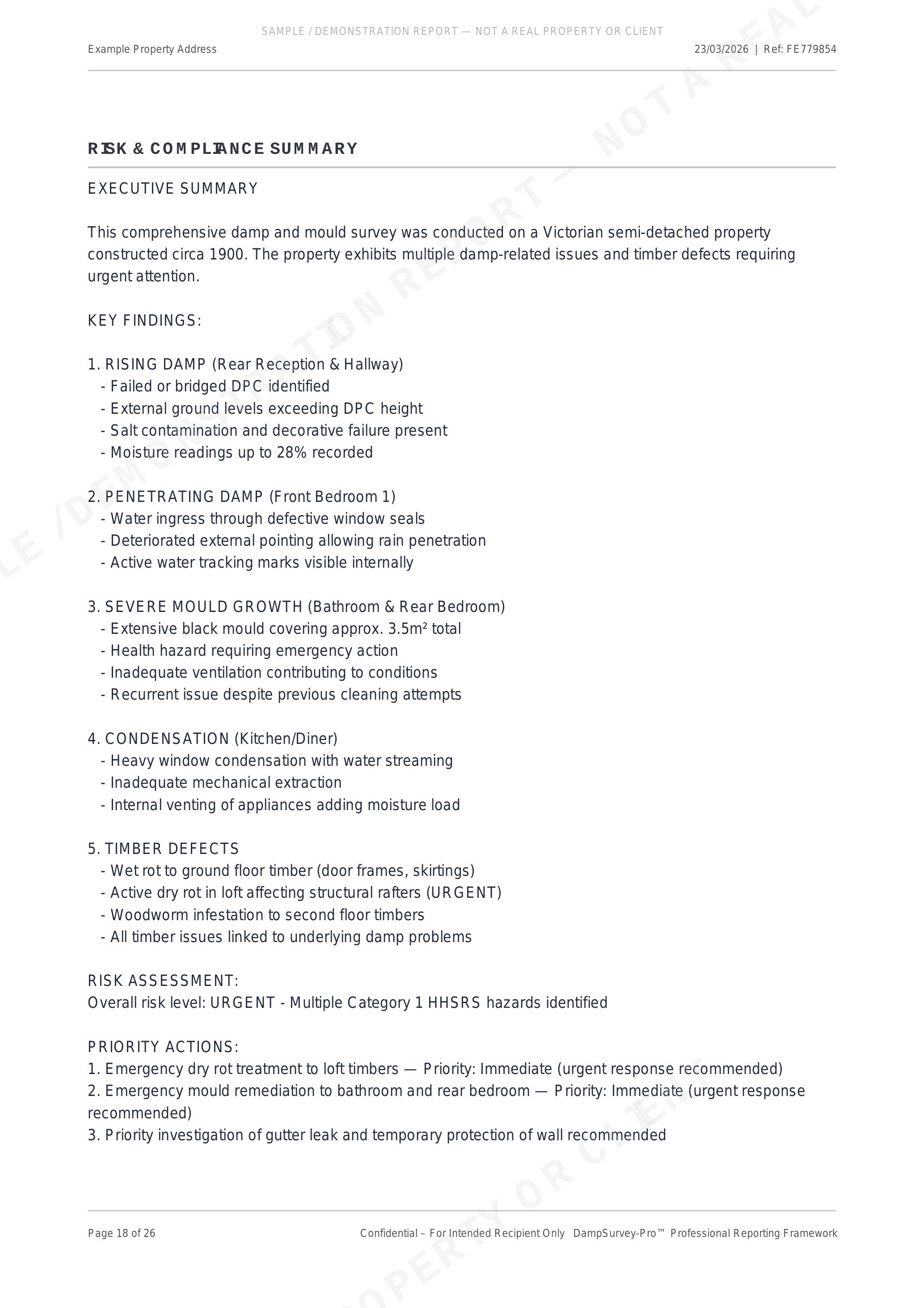 Executive Summary — Social Housing Damp Survey Report